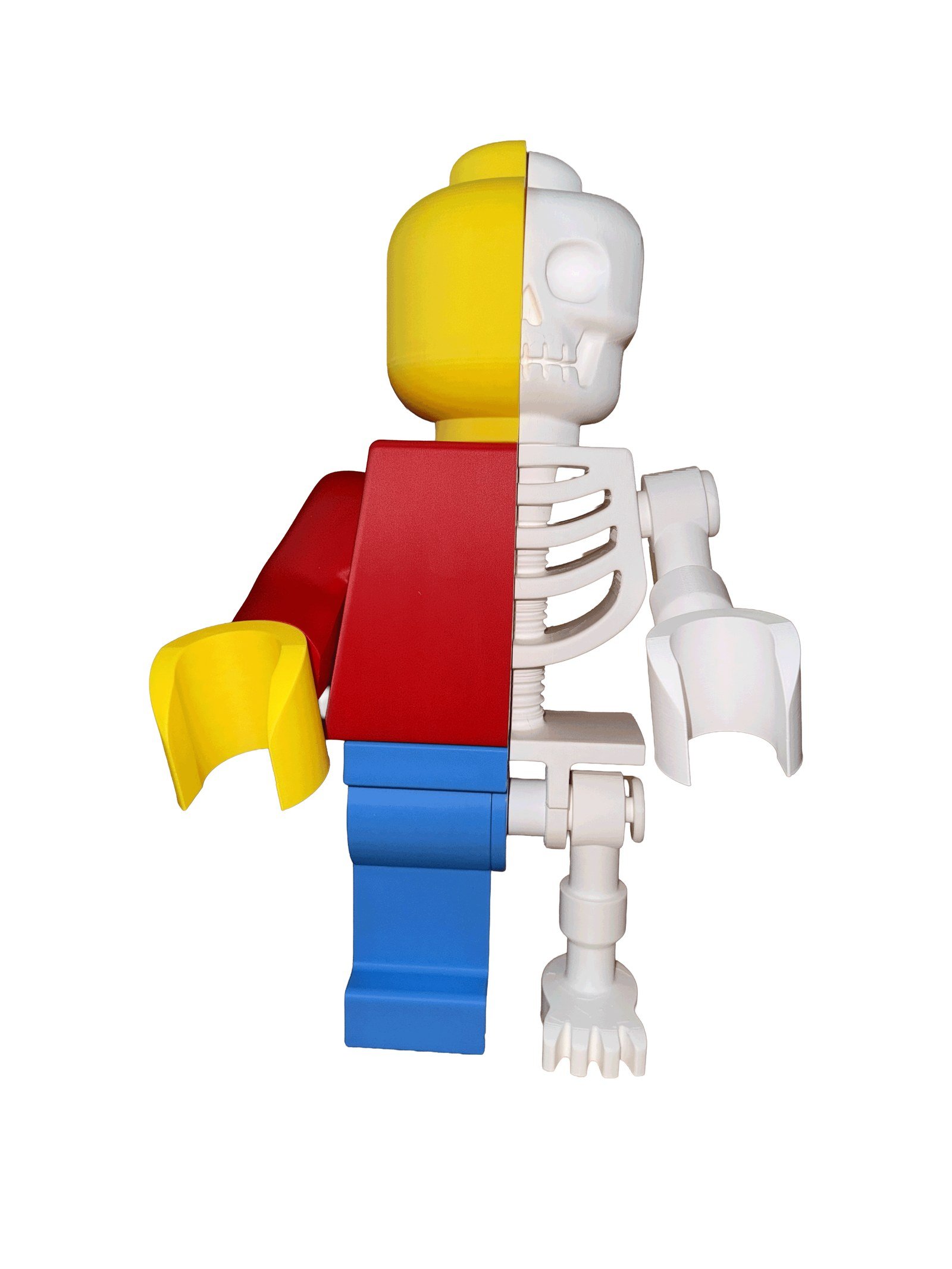 Front view of the Skeleton Fig — classic yellow head, red torso and cobalt leg down one side, white skull, ribcage and leg bones down the other