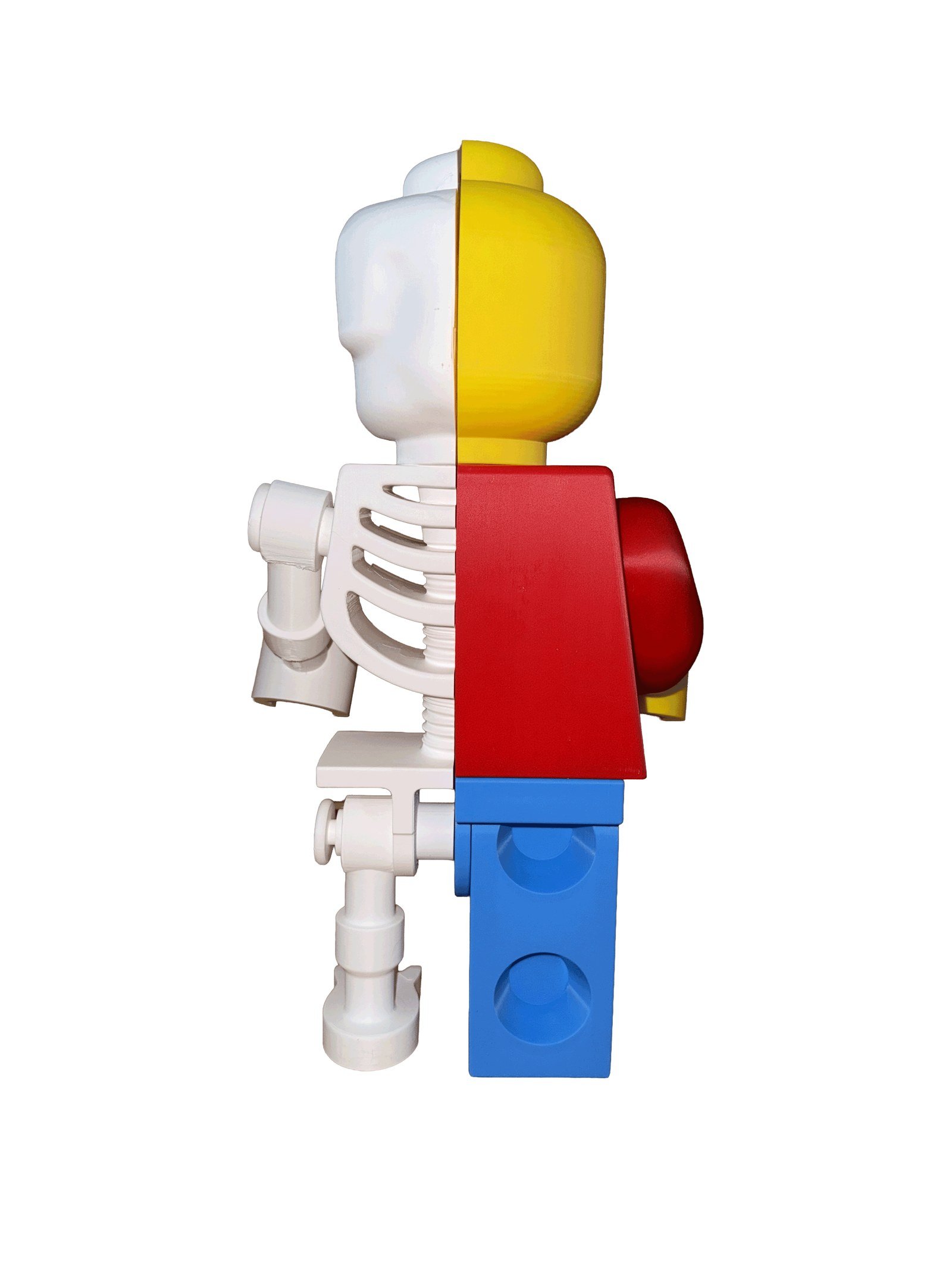 Rear view of the Skeleton Fig — spine and ribs down one side, the back of the classic figure down the other