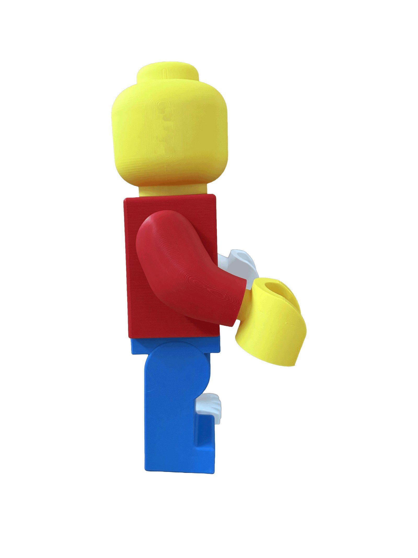 Right profile of the Skeleton Fig, showing the classic half: yellow head, red arm and cobalt leg